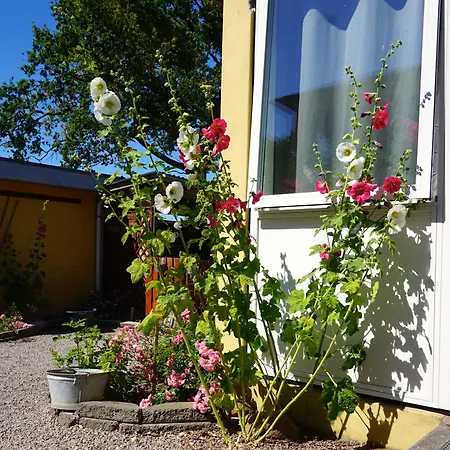 Nordly Allinge-Sandvig